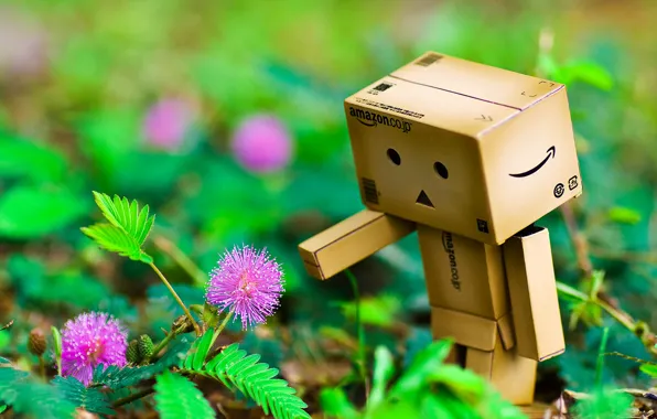 Picture flowers, hand, danbo