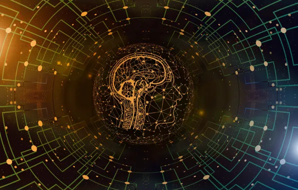 Network, management, brain, Internet, information technology, influence, pineal gland, epiphysis