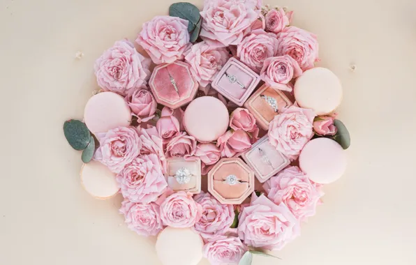 Flowers, roses, flowers, box, rings, Jewelry, Boxes, Decoration