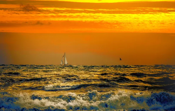Sea, wave, clouds, bird, boat, glow, sail