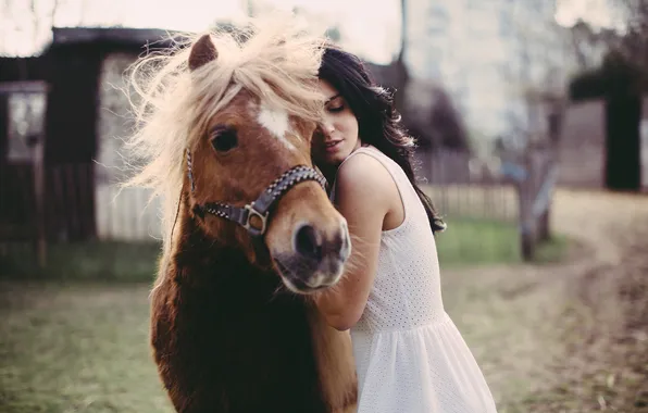 Girl, animal, horse, dress, pony