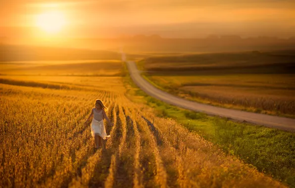 Road, field, space, girl, sunlight