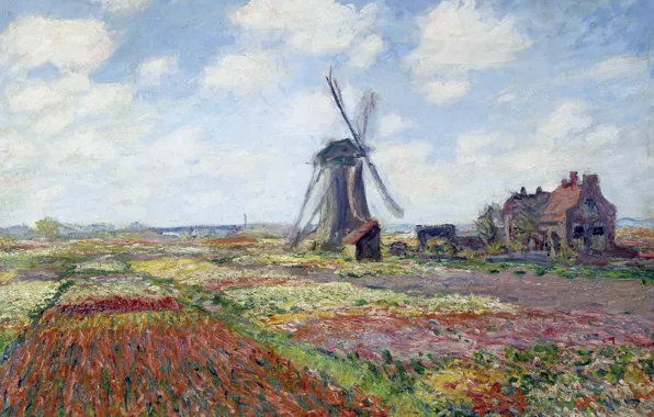 Landscape, picture, Claude Monet, Tulip fields with Windmill Rijnsburgse