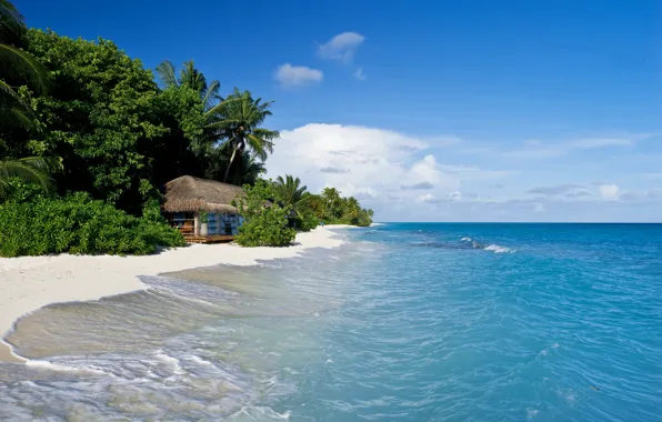 Sand, sea, tropics, palm trees, shore, hut, The Maldives, Kuramathi