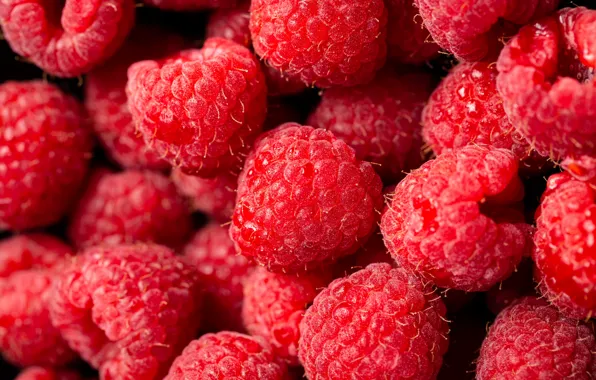 Picture berries, macro, a lot, bokeh, raspberry