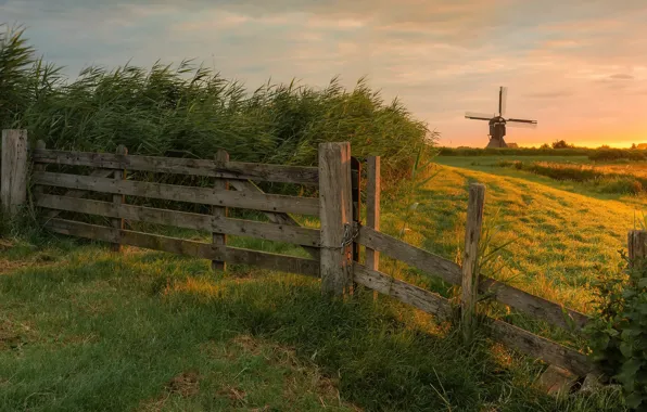 Field, the fence, mill