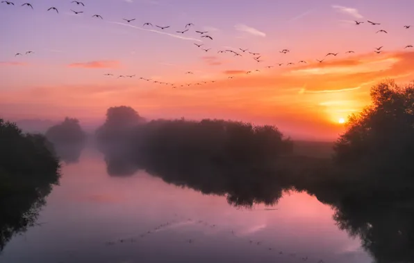 The sun, clouds, flight, sunset, birds, fog, lake, reflection