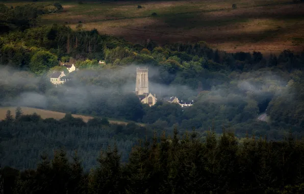 Picture forest, mountains, fog, castle, architecture