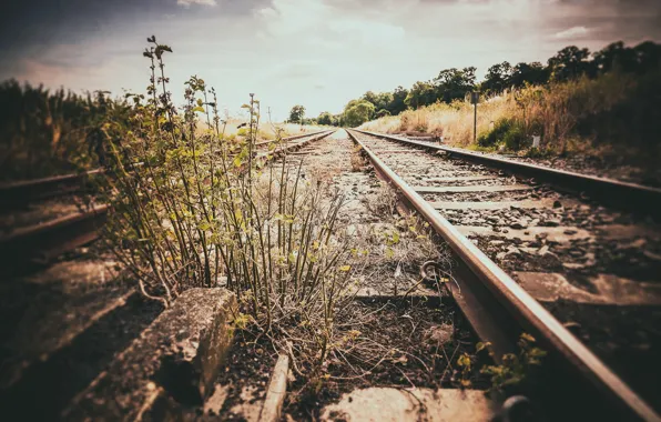 Picture nature, background, railroad