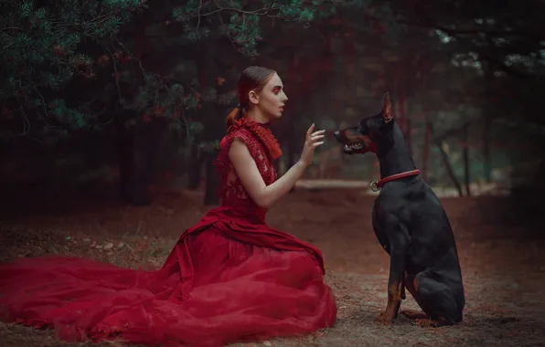 Picture forest, girl, style, hand, dog, dress, pine, red dress