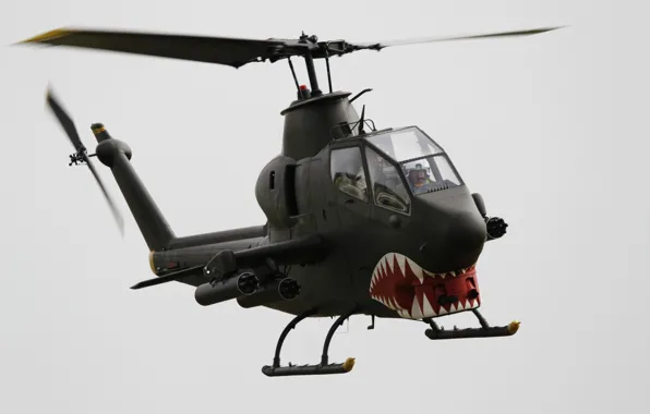 Cobra, attack helicopter, Bell TAH-1P