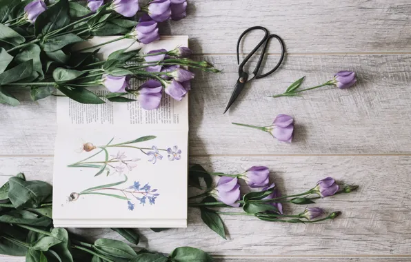 Bouquet, book, flower, decor, purple, book, Leaves, Decoration