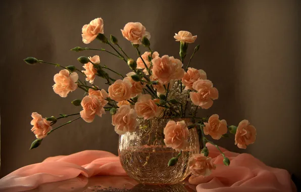 Flowers, still life, clove, photonaturalist, still life with flowers, Chabot, light and shadows