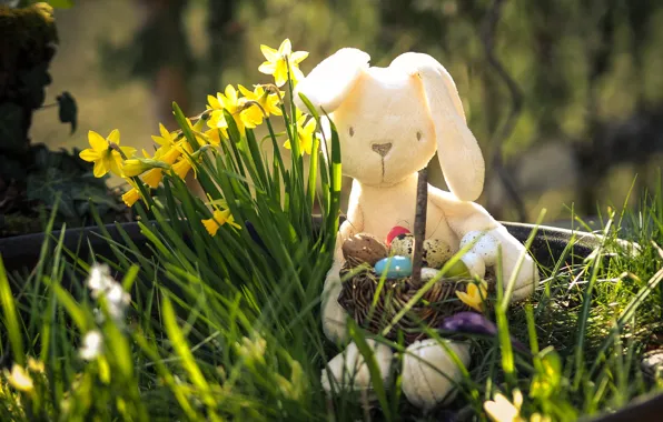 Grass, light, holiday, toy, eggs, spring, Easter, bokeh