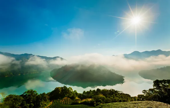 Picture forest, the sun, Islands, river, haze, plantation