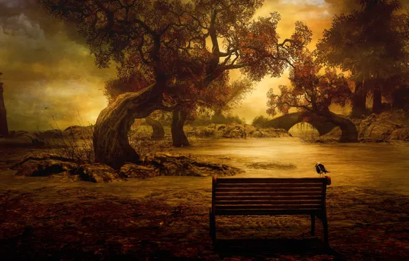 Autumn, the sky, clouds, trees, landscape, sunset, bench, birds
