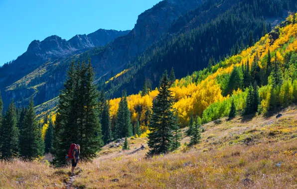 Autumn, forest, the sky, grass, girl, the sun, trees, mountains
