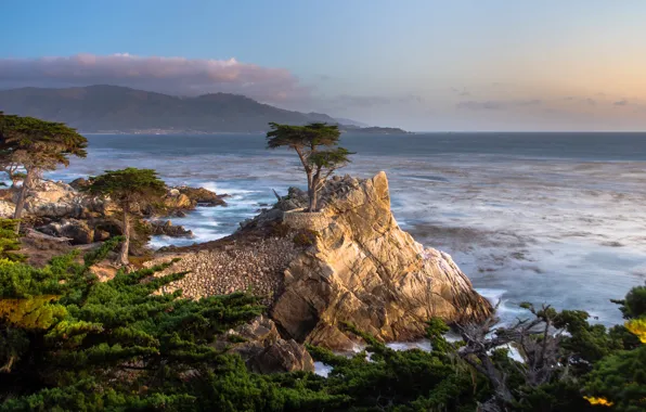 Picture sea, trees, stones, coast, horizon, CA, surf, USA
