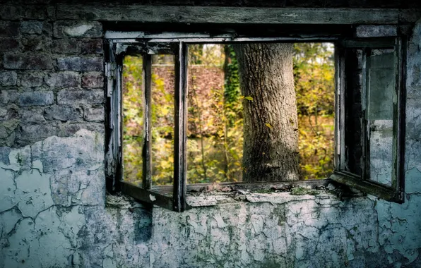 Wall, view, window