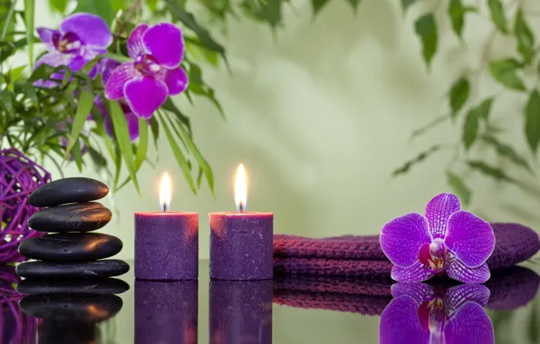 Flowers, candles, orchids, Spa stones