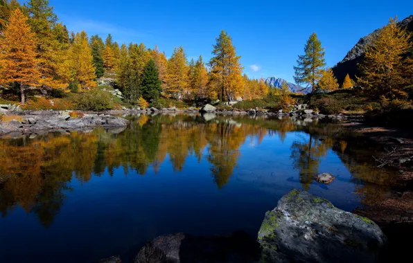 Autumn, forest, trees, lake, reflection, stones, Italy, Italy