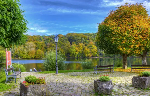 Autumn, trees, Park, river, Germany, lantern, benches, benches