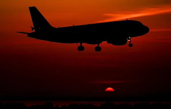 The sky, sunset, the plane, passenger