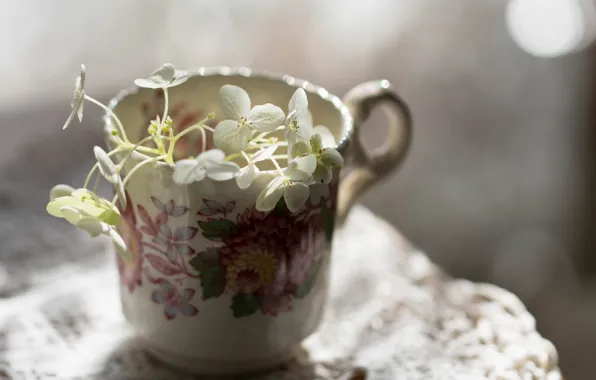 White flowers, the mug on the table, blur bokeh