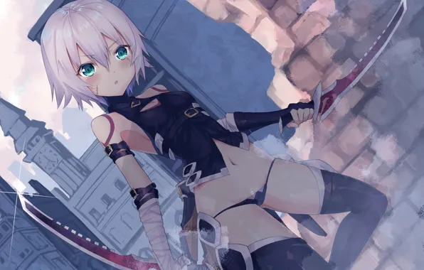 Picture girl, weapons, panties, Fate - Apocrypha