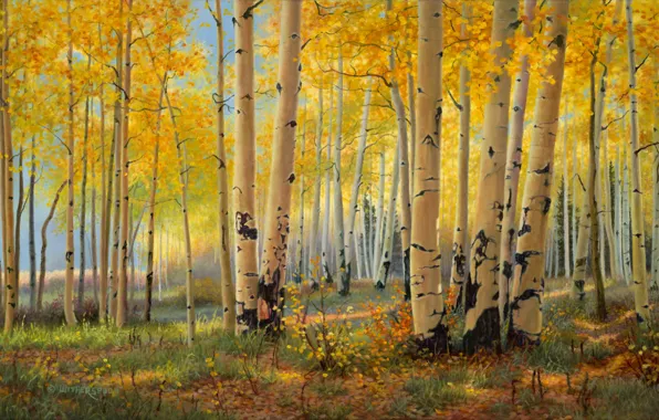 Picture autumn, forest, birch, painting, art, grove, Golden autumn, Kay Witherspoon