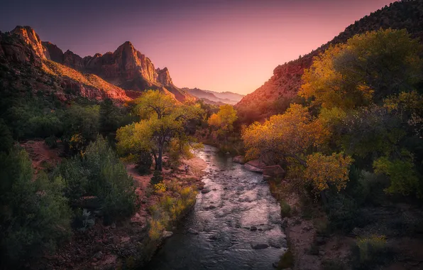 Autumn, forest, the sky, trees, mountains, river, rocks, dawn