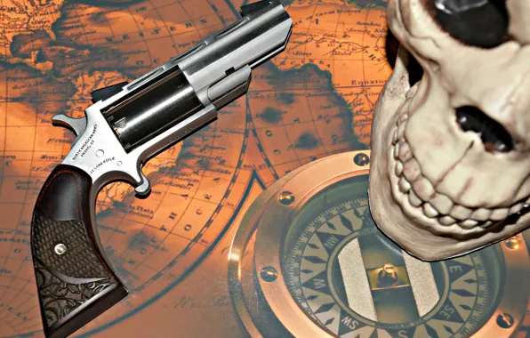 Skull, Gun, Revolver