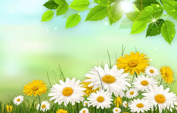 Grass, leaves, figure, chamomile, computer design