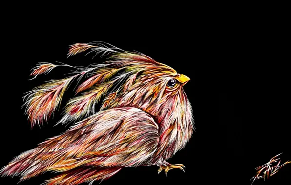 Fantasy, bird, sketch