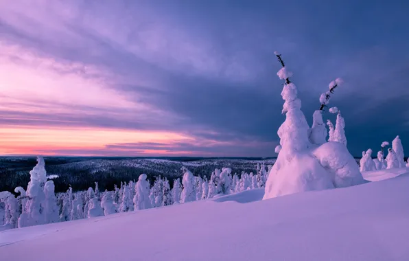 Winter, light, snow, mountains, in the snow, morning, ate, slope