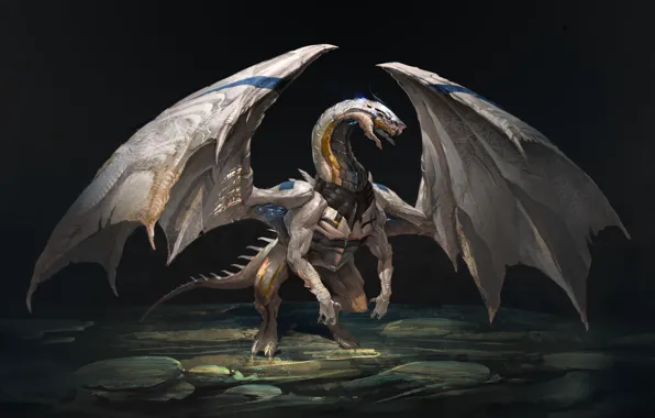 Picture dragon, wings, art