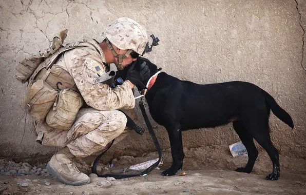 Each, dog, soldiers