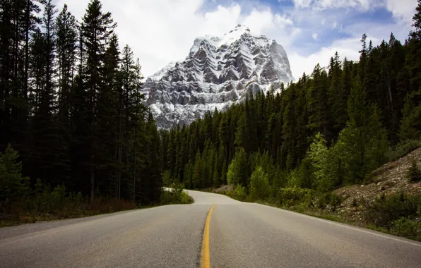 Road, forest, clouds, mountains, the way, rocks, the slopes, tops