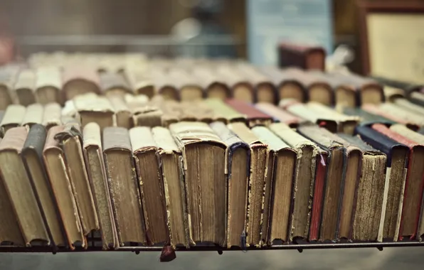 Macro, book, shelves