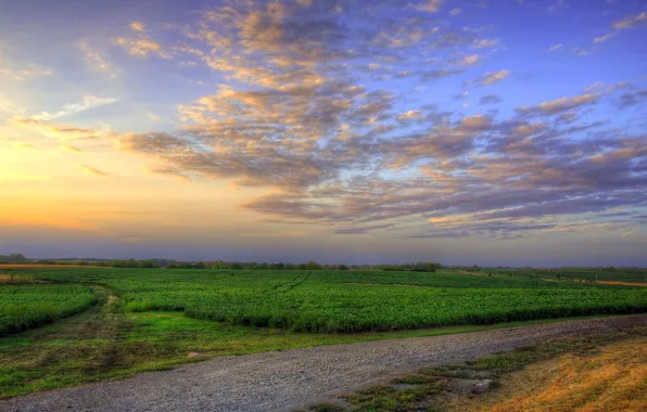 Picture road, field, the sky, clouds, sunset