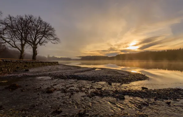 Scotland, Atmosphere, Loch Ard, Kinlochard
