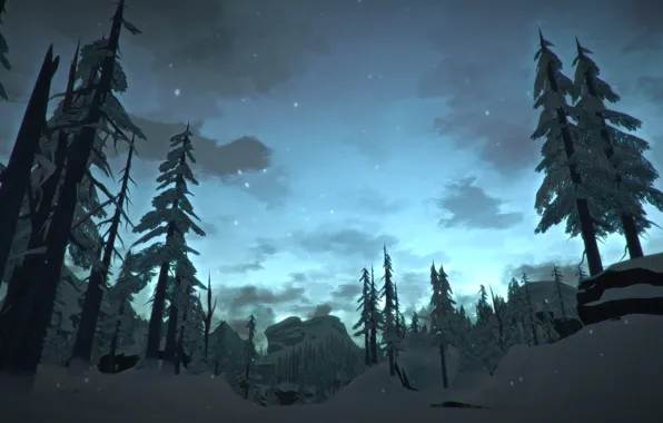 Nature, Night, Forest, Nature, Night, Forest, Hinterland Studio, The Long Dark