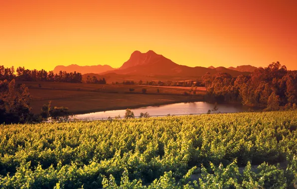 Picture field, the sky, trees, mountains, pond, glow, Africa, the bushes