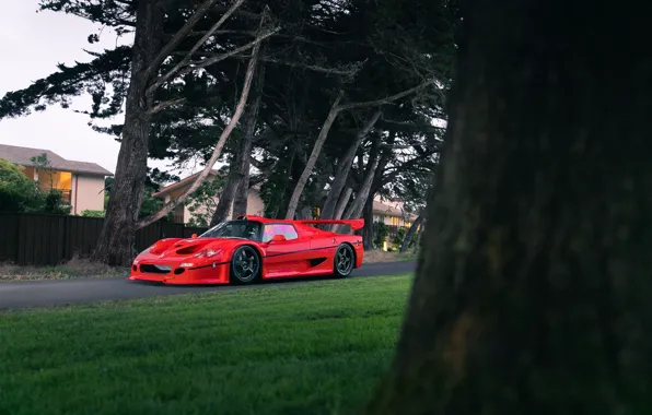 Picture Red, Spoiler, F50 GT