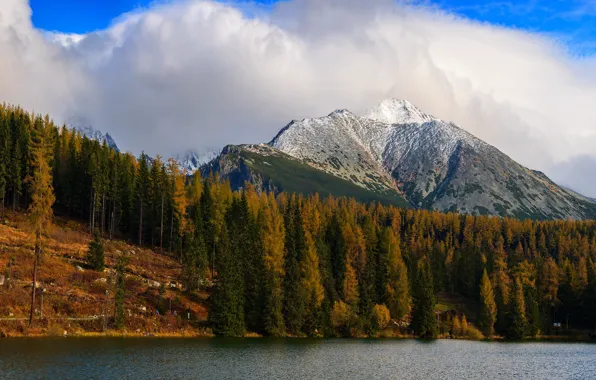 Autumn, forest, clouds, snow, trees, mountains, nature, blue