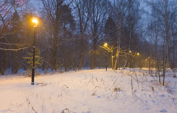 Picture winter, snow, trees, nature, the evening, lights, Moscow, Russia