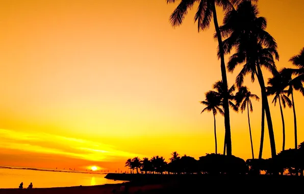 Sea, the sky, sunset, tropics, palm trees