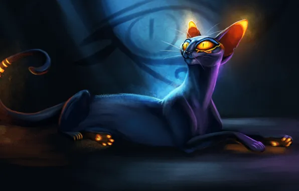 Picture cat, eyes, lies, by TehChan