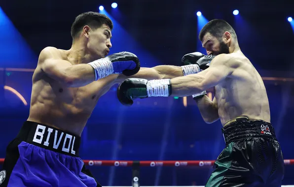 Picture Boxing, Artur Beterbiev, Dmitry Bivol