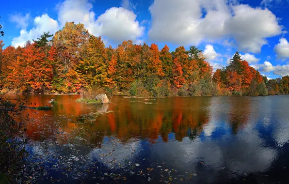 Picture autumn, forest, the sky, leaves, clouds, trees, lake, paint